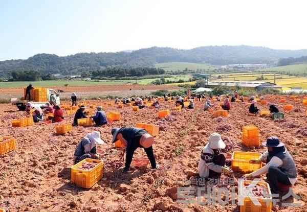 메인사진