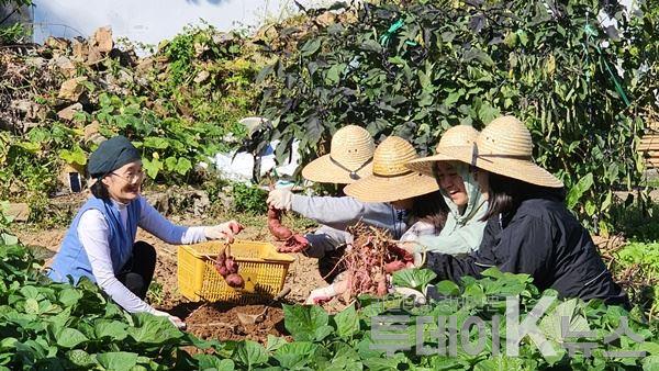 메인사진