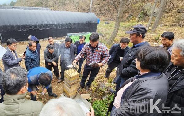 메인사진