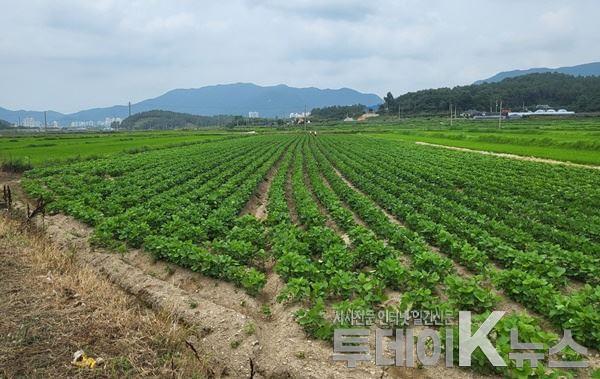 메인사진