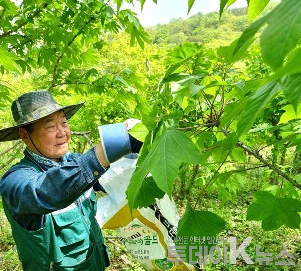 메인사진