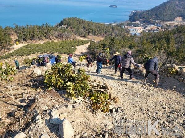 메인사진