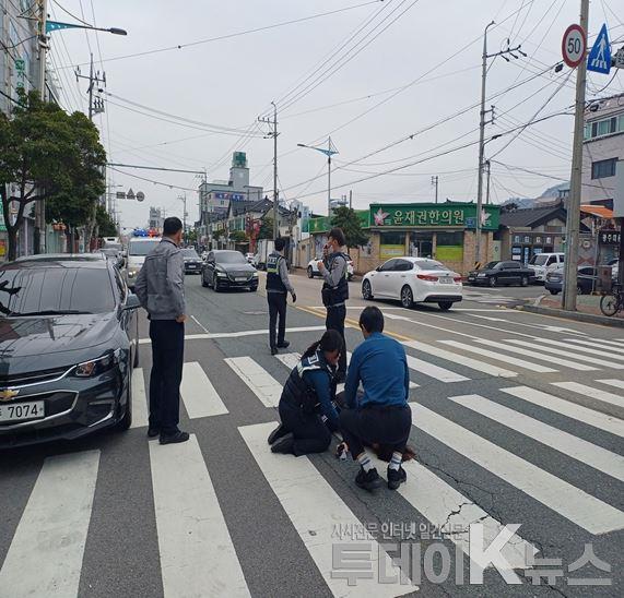 메인사진