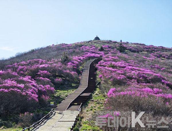 메인사진