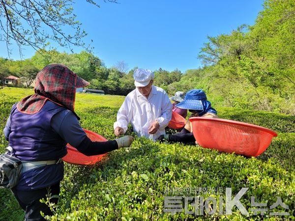 메인사진