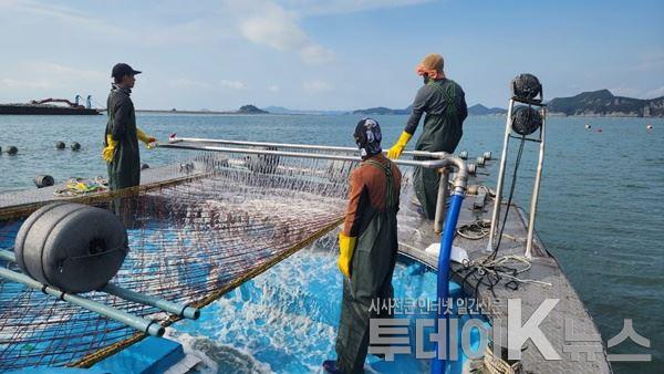 메인사진