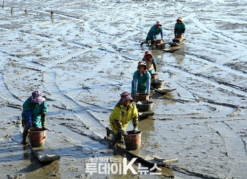 메인사진