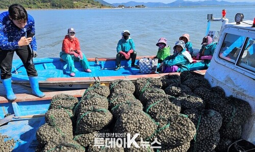 메인사진