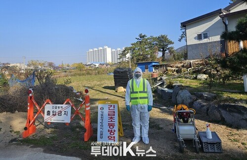 메인사진